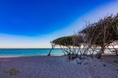 Aruba mare dei Caraibi viaggi fotografici e vacanze Mauro Greco fotografo