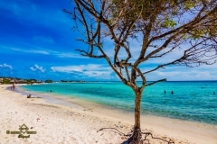 Aruba mare dei Caraibi viaggi fotografici e vacanze Mauro Greco fotografo